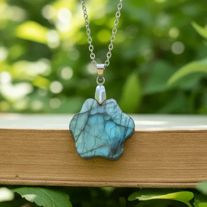 Pendentif patte en Labradorite (PE2022-4