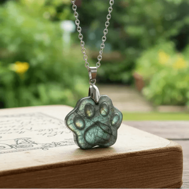 Pendentif patte en Labradorite (PE2022 - 5)