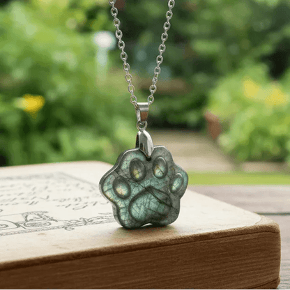 Pendentif patte en Labradorite (PE2022 - 5)