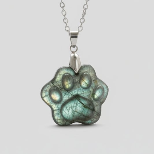 Pendentif patte en Labradorite (PE2022 - 5)