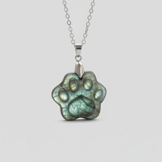 Pendentif patte en Labradorite (PE2022 - 5)