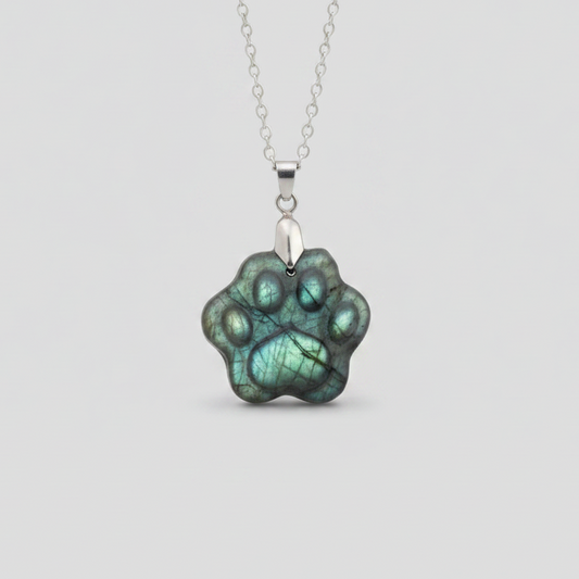 Pendentif patte en Labradorite (PE2022 - 5) (Copie)
