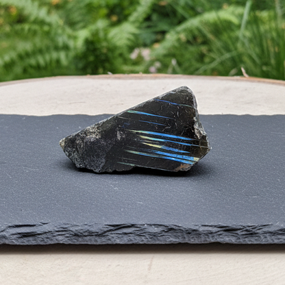 Labradorite 1 face polie 32g (PRGFL575-18)