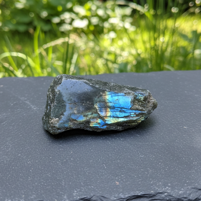 Labradorite 1 face polie 26g (PRGFL575-19)
