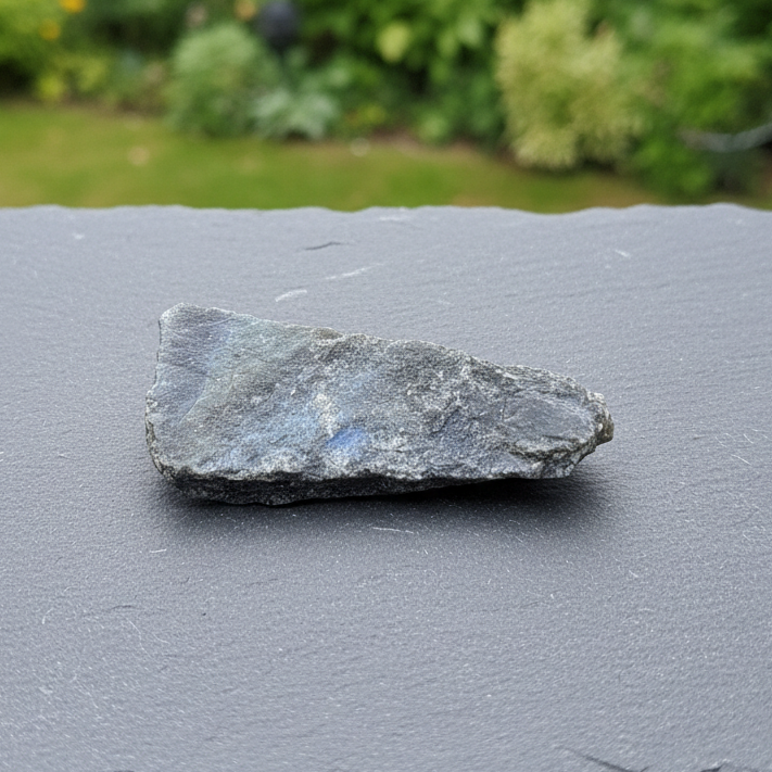 Labradorite 1 face polie 26g (PRGFL575-19)