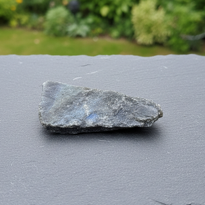 Labradorite 1 face polie 26g (PRGFL575-19)