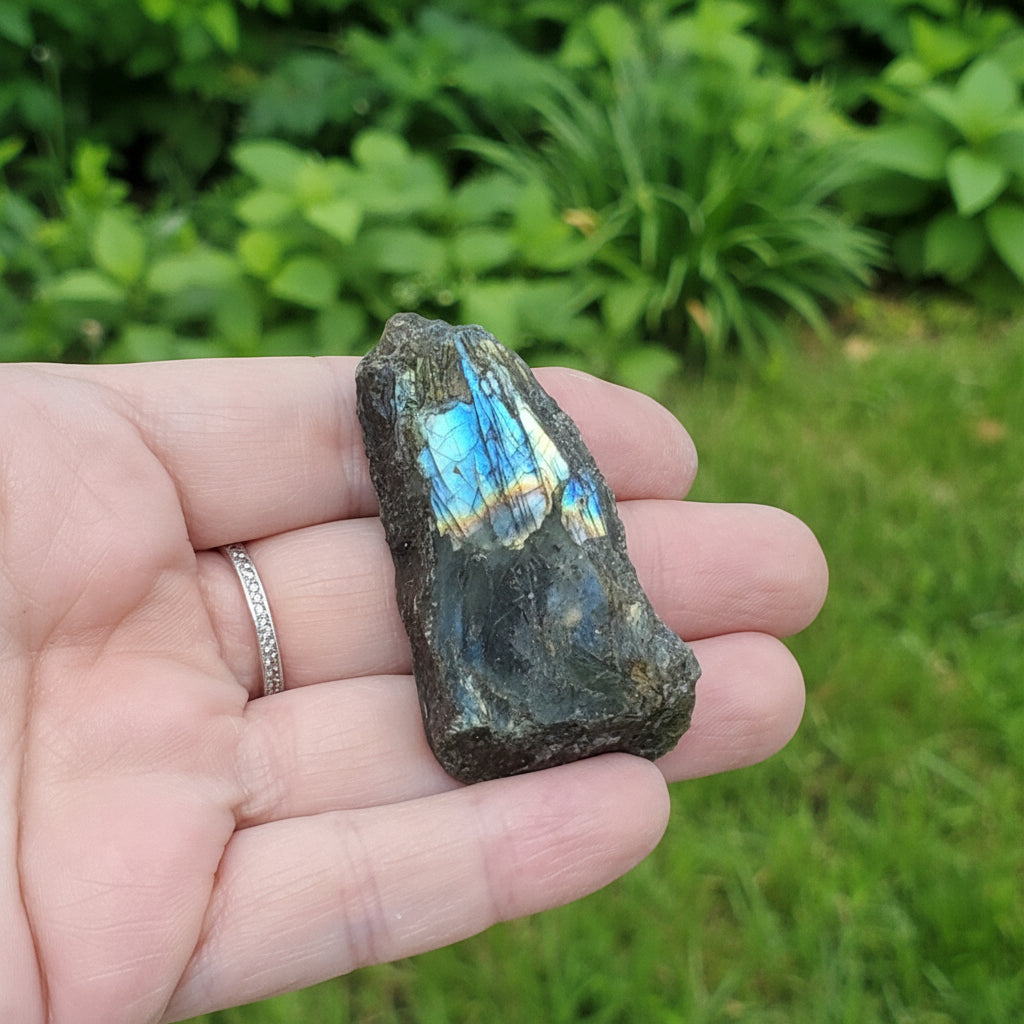 Labradorite 1 face polie 26g (PRGFL575-19)