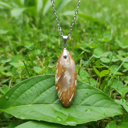 Pendentif en Bois fossilisé (PE2154)