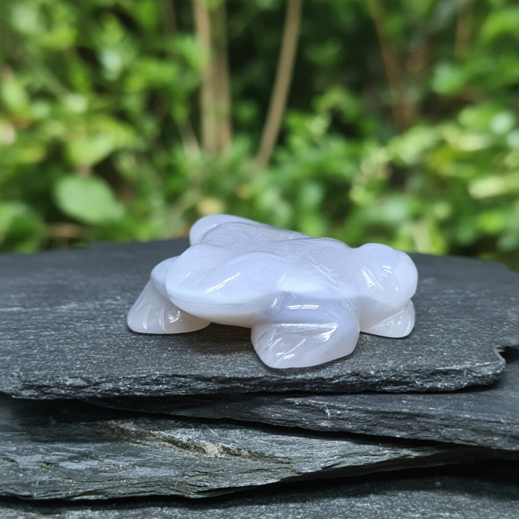 Grenouille en Calcédoine grise avec dos cristallisé 59g (PRGFL539-3)