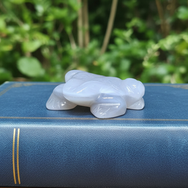 Grenouille en Calcédoine grise avec dos cristallisé 59g (PRGFL539 - 3)