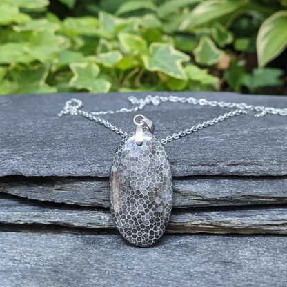Pendentif en Corail noir fossilisé (PE2005)