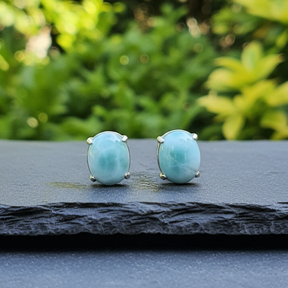 Puces d'oreilles en Larimar (BO247 - 1)
