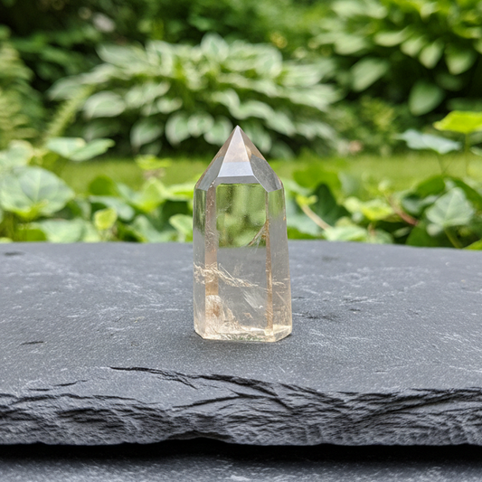 Pointe polie en Citrine 16g (PRGFL759)