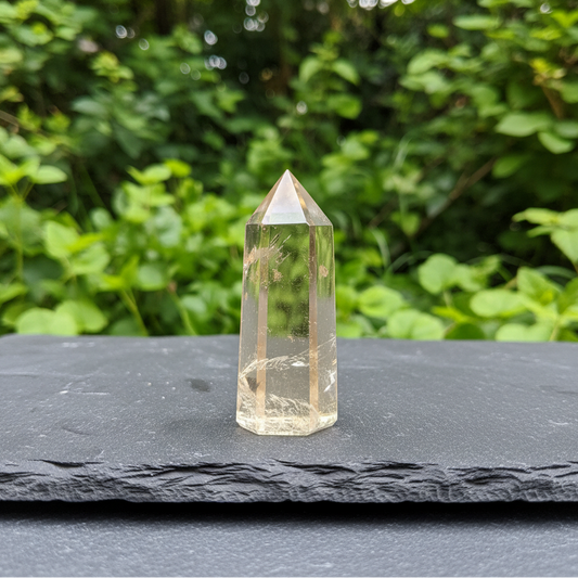 Pointe polie en Citrine 16g (PRGFL759)