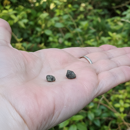 Lot de 2 Alexandrite brutes 0,60g (MB589 - 3)