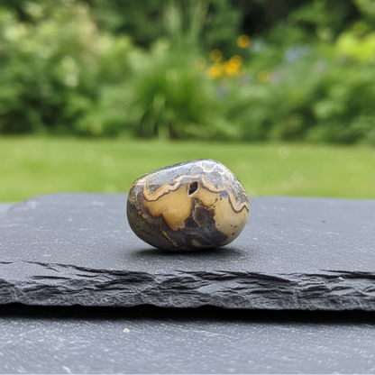 Schalenblende polie 26g (PRGFL761-2)