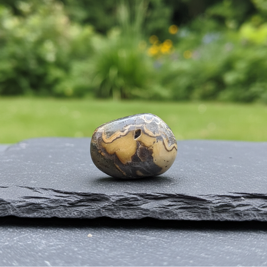 Schalenblende polie 26g (PRGFL761-2)