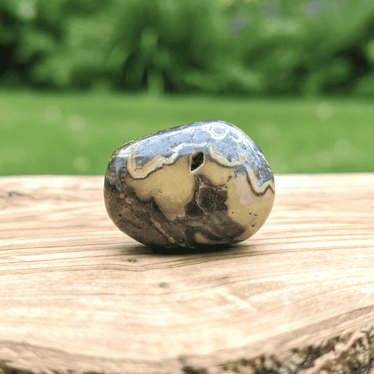 Schalenblende polie 26g (PRGFL761 - 2)