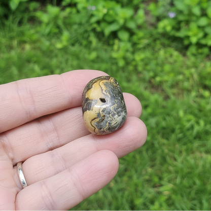 Schalenblende polie 26g (PRGFL761-2)