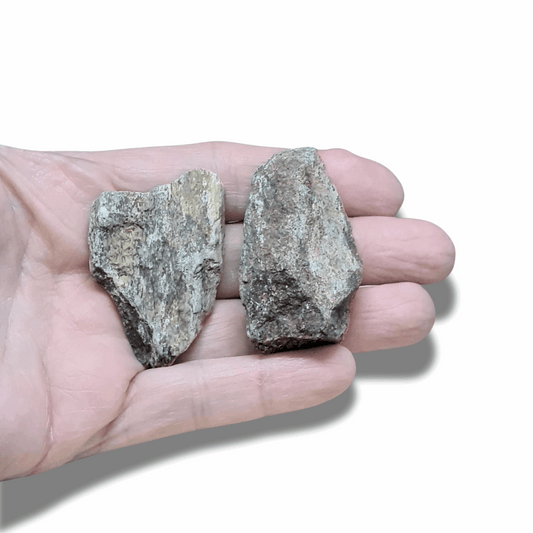 Lot de 2 os de dinosaure fossilisé brut (MB530-2) - ENAE Minéraux
