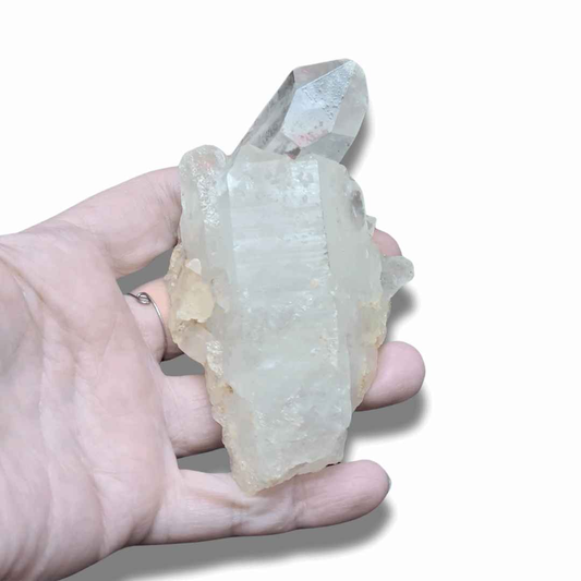 Amas de pointes de Cristal de Roche (MB433-12)