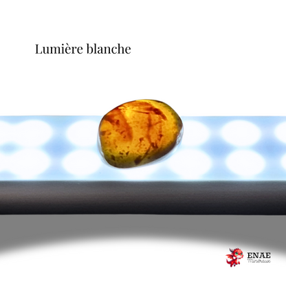 Ambre bleu - Pierre roulée (PRGFL708-3)
