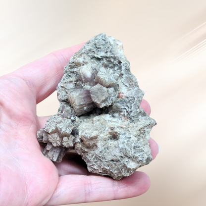 Aragonite, lithotherapie, pierre brute, violette ENAE Mineraux