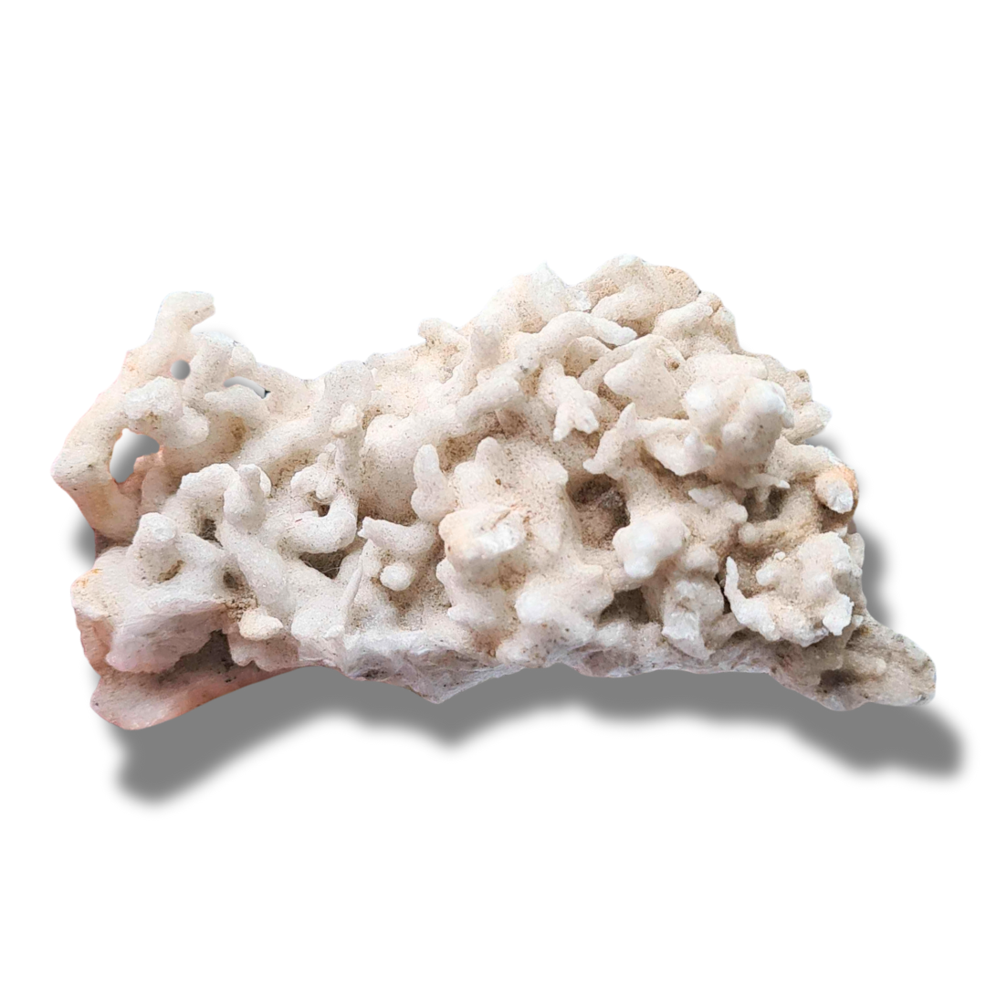 Aragonite brute (MB516) - ENAE Minéraux
