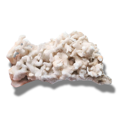 Aragonite brute (MB516) - ENAE Minéraux