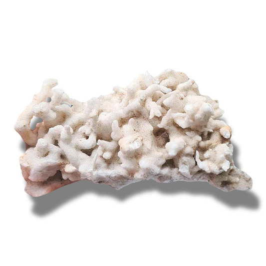 Aragonite brute (MB516) - ENAE Minéraux
