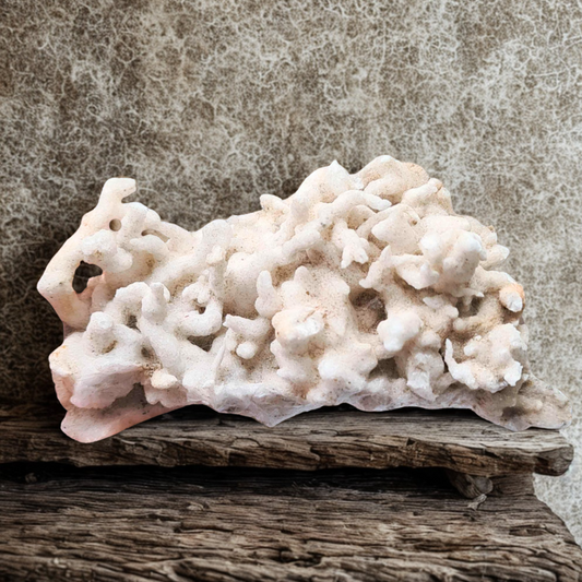 Aragonite brute (MB516)