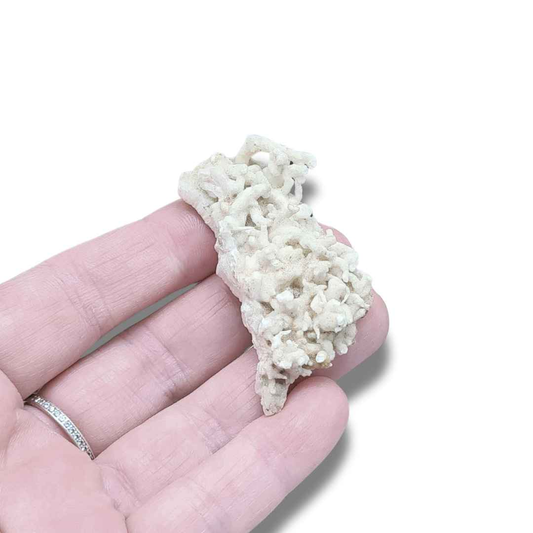 Aragonite brute (MB516) - ENAE Minéraux