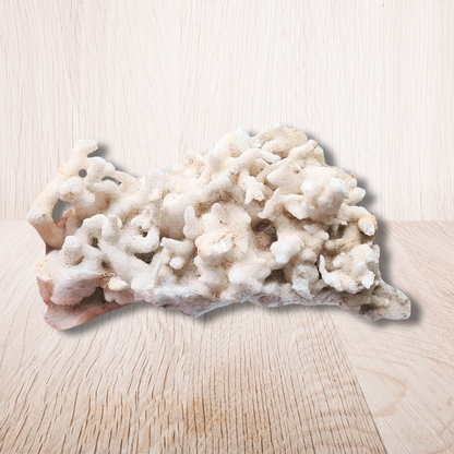 Aragonite brute (MB516)