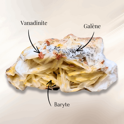 Baryte, Vanadinite et Galène (MB543)