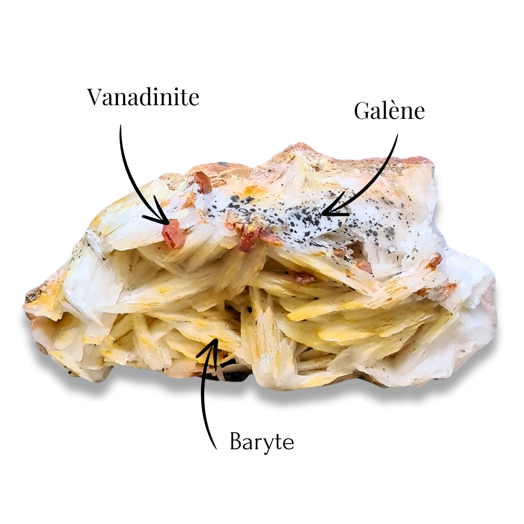 Baryte, Vanadinite et Galène 101g (MB543)