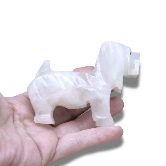 Chien en Calcite blanche (PRGFL347-2)