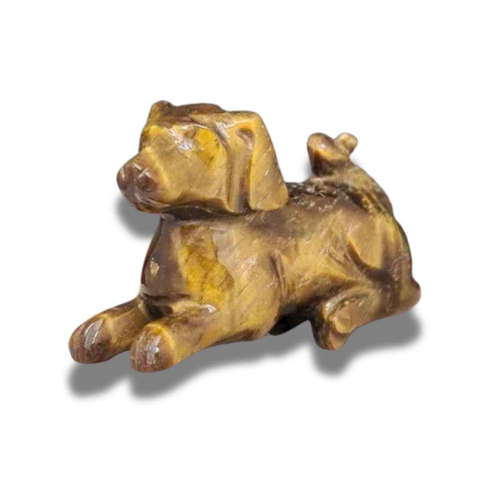 Chien en Œil de Tigre (PRGFL615-3)