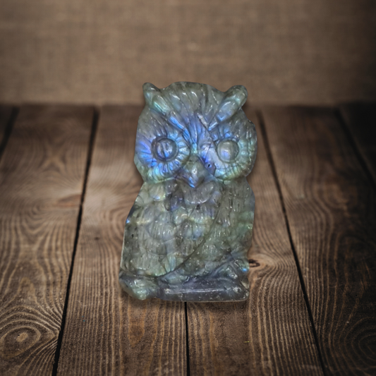 Chouette en Labradorite (PRGFL500-14)