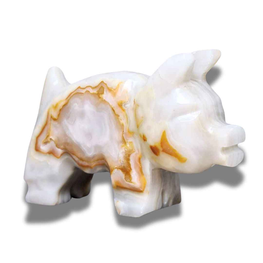 Cochon en Aragonite et Calcite (PRGFL627)