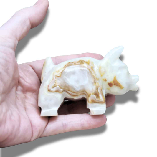 Cochon en Aragonite et Calcite (PRGFL627)