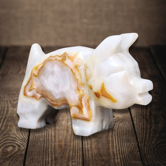 Cochon en Aragonite et Calcite (PRGFL627)