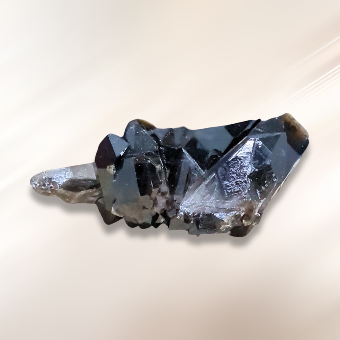 Cristaux de Quartz fumé Morion en amas (MB542)