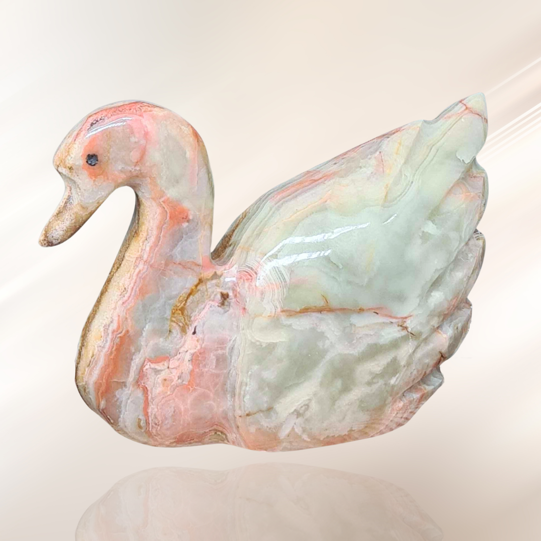 Cygne en Aragonite et Calcite (PRGFL622-6)