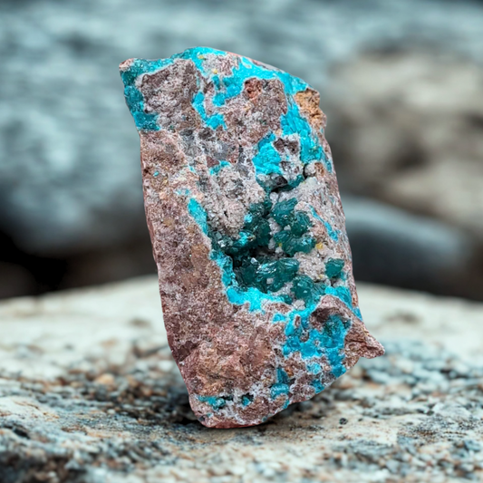 Dioptase, Calcite, Wulfénite et Shattuckite brute 30g (MB463)