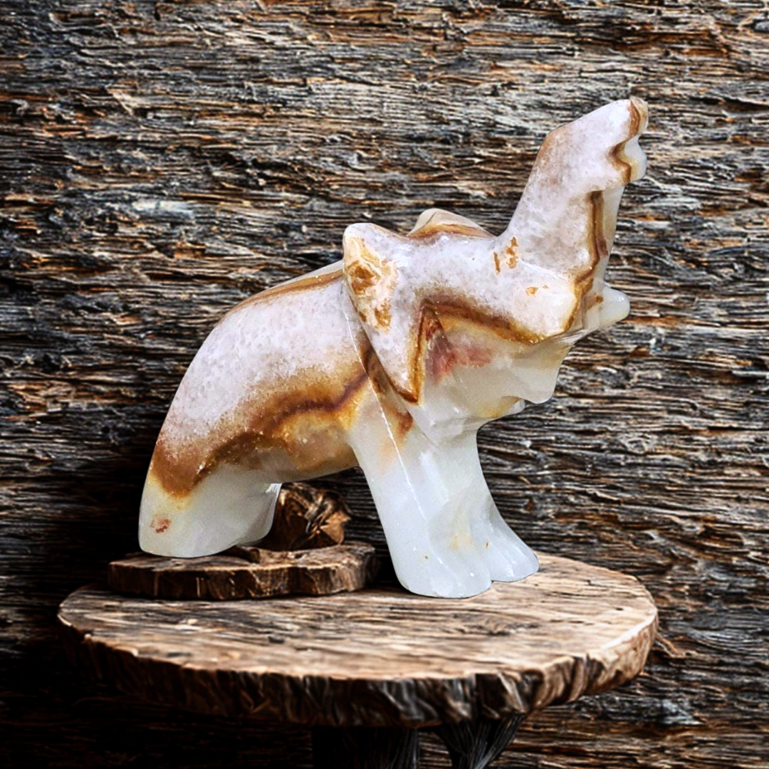 Eléphant en Calcite et Aragonite 42g (PRGFL346-63)