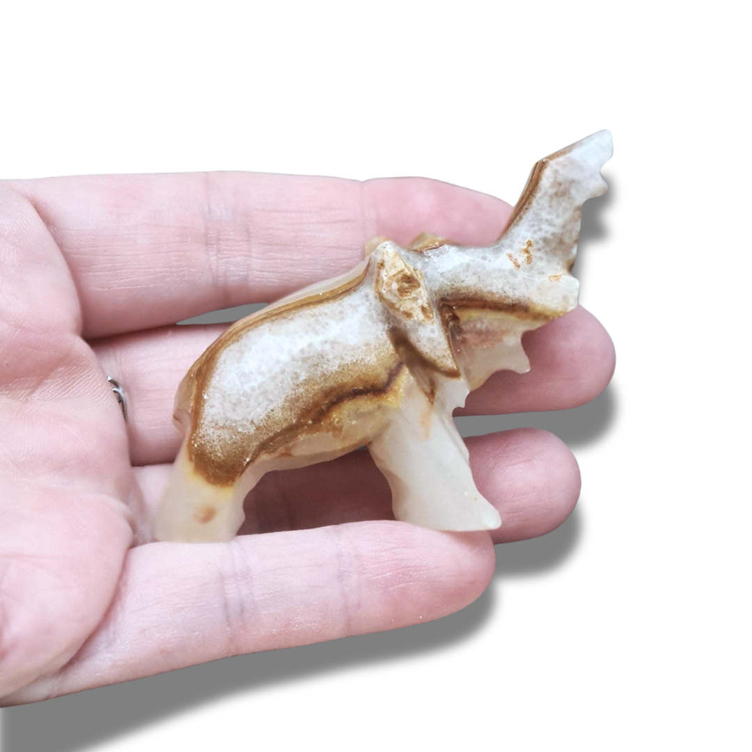 Eléphant en Calcite et Aragonite (PRGFL346-63) - ENAE Minéraux