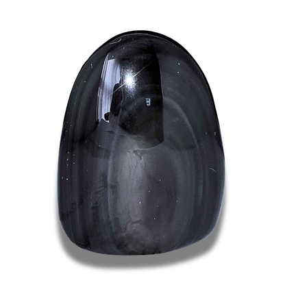 Forme libre à poser en Obsidienne Œil Céleste (PRGFL579)