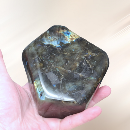 Forme Libre en Labradorite 939g (PRGFL527-4)