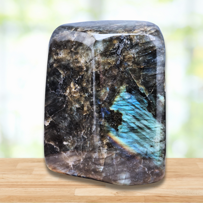 Forme Libre Labradorite 838g (PRGFL527-8)