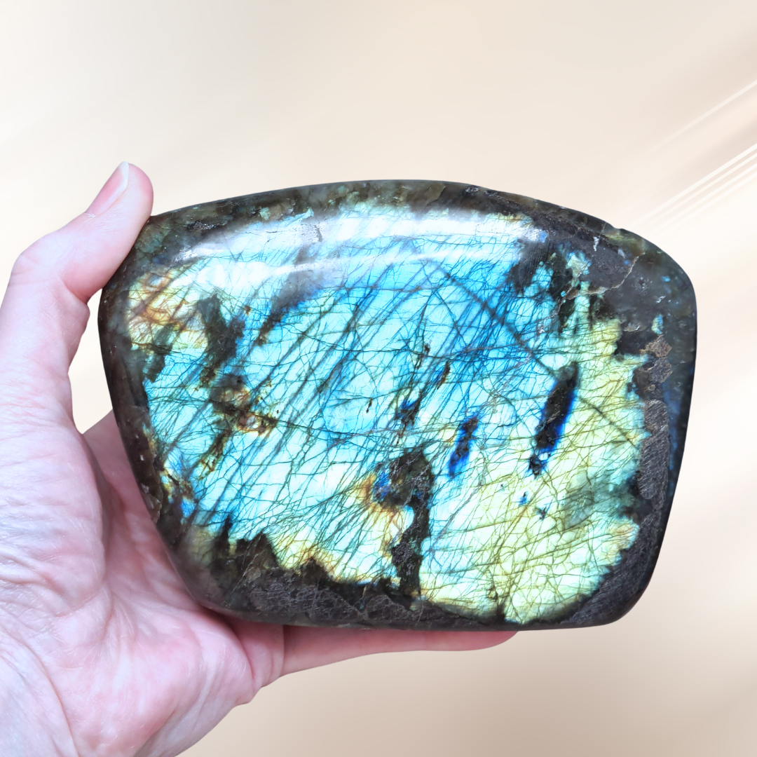 Forme libre en Labradorite 1229g (PRGFL527-9)